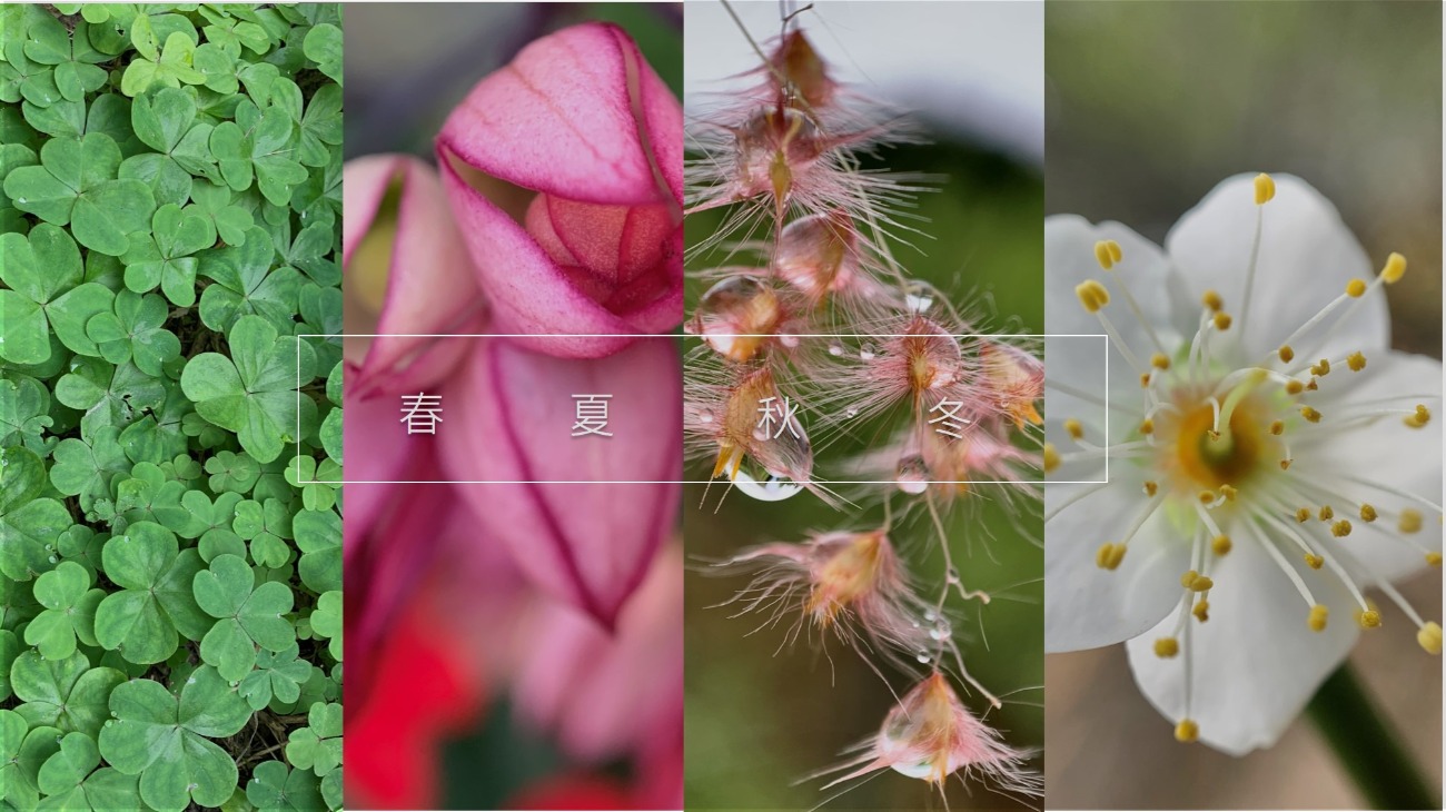 四季更迭萬物共生